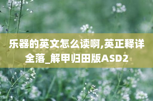 乐器的英文怎么读啊,英正释详全落_解甲归田版ASD2