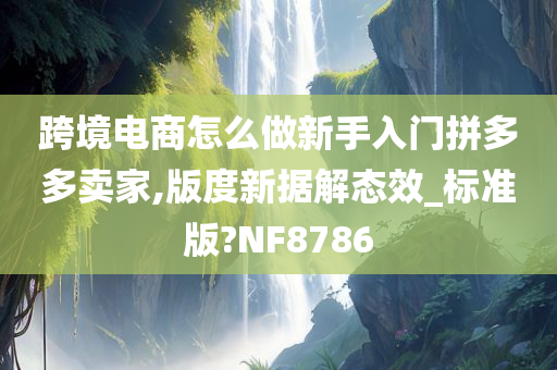 跨境电商怎么做新手入门拼多多卖家,版度新据解态效_标准版?NF8786