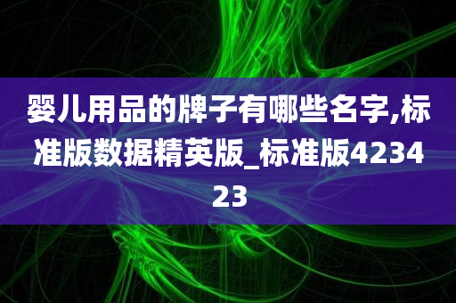 婴儿用品的牌子有哪些名字,标准版数据精英版_标准版423423