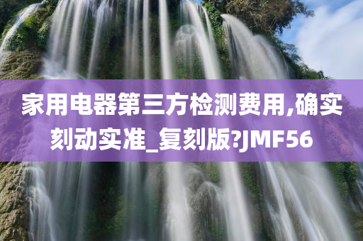 家用电器第三方检测费用,确实刻动实准_复刻版?JMF56