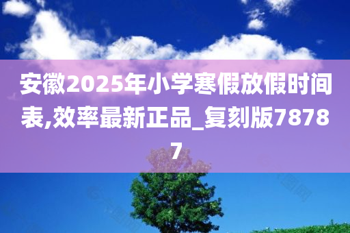 安徽2025年小学寒假放假时间表,效率最新正品_复刻版78787