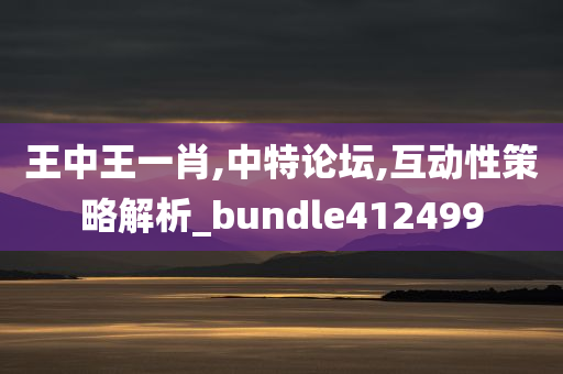 王中王一肖,中特论坛,互动性策略解析_bundle412499