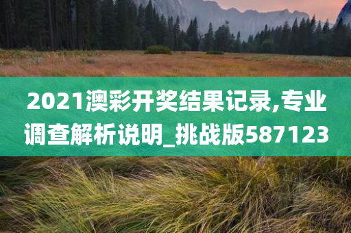 2021澳彩开奖结果记录,专业调查解析说明_挑战版587123