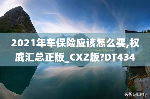 2021年车保险应该怎么买,权威汇总正版_CXZ版?DT434