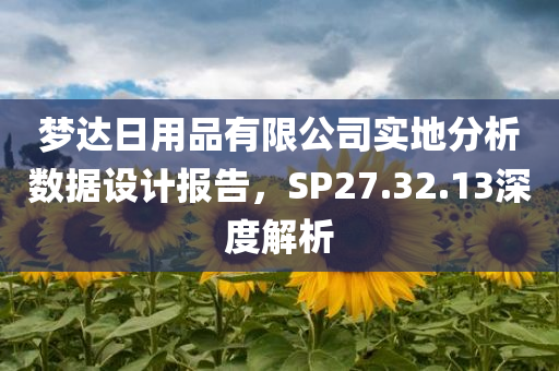 梦达日用品有限公司实地分析数据设计报告，SP27.32.13深度解析