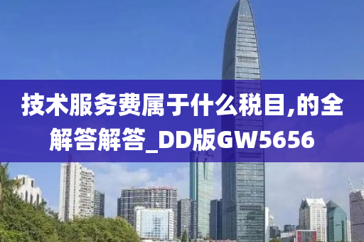 技术服务费属于什么税目,的全解答解答_DD版GW5656