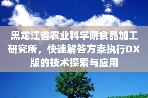 黑龙江省农业科学院食品加工研究所，快速解答方案执行DX版的技术探索与应用