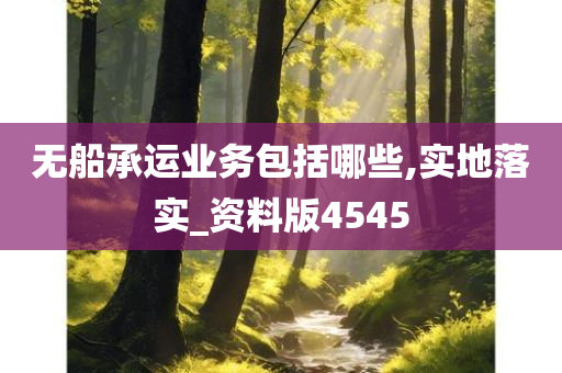 无船承运业务包括哪些,实地落实_资料版4545