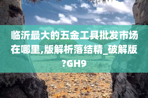 临沂最大的五金工具批发市场在哪里,版解析落结精_破解版?GH9