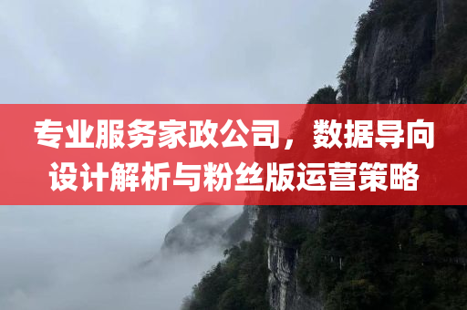 专业服务家政公司，数据导向设计解析与粉丝版运营策略