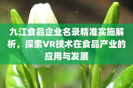 九江食品企业名录精准实施解析，探索VR技术在食品产业的应用与发展