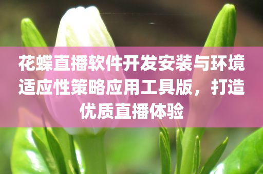 花蝶直播软件开发安装与环境适应性策略应用工具版，打造优质直播体验