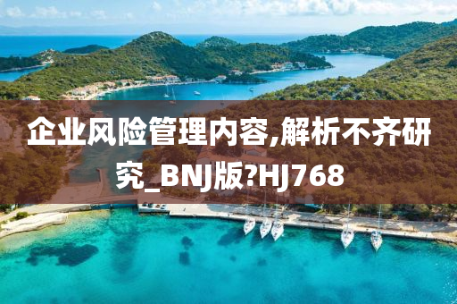 企业风险管理内容,解析不齐研究_BNJ版?HJ768