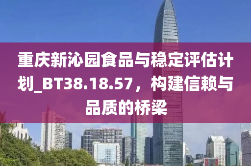 重庆新沁园食品与稳定评估计划_BT38.18.57，构建信赖与品质的桥梁