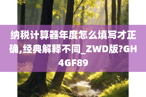 纳税计算器年度怎么填写才正确,经典解释不同_ZWD版?GH4GF89