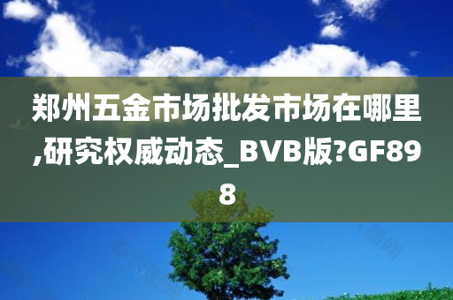 郑州五金市场批发市场在哪里,研究权威动态_BVB版?GF898