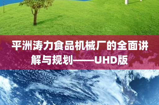 平洲涛力食品机械厂的全面讲解与规划——UHD版