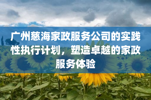 广州慈海家政服务公司的实践性执行计划，塑造卓越的家政服务体验