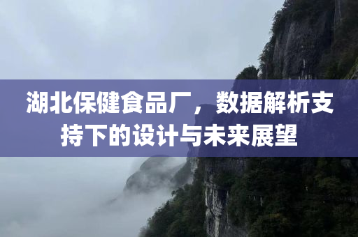 湖北保健食品厂，数据解析支持下的设计与未来展望