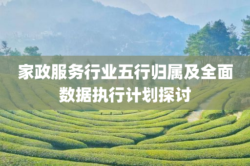 家政服务行业五行归属及全面数据执行计划探讨