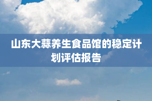 山东大蒜养生食品馆的稳定计划评估报告