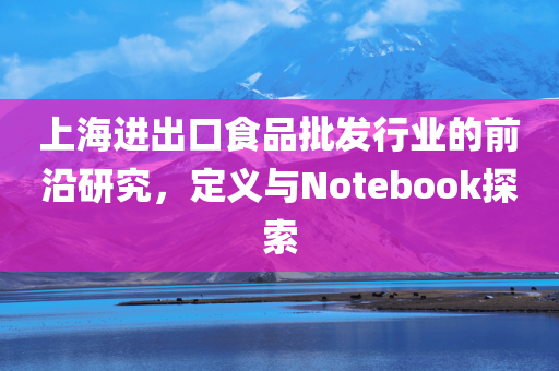 上海进出口食品批发行业的前沿研究，定义与Notebook探索