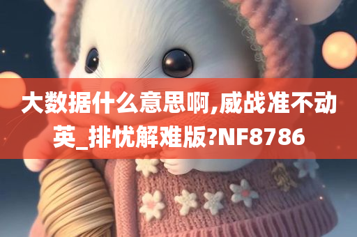 大数据什么意思啊,威战准不动英_排忧解难版?NF8786