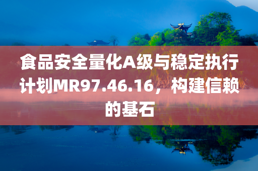 食品安全量化A级与稳定执行计划MR97.46.16，构建信赖的基石