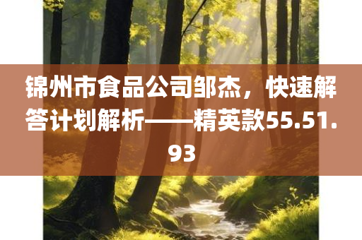 锦州市食品公司邹杰，快速解答计划解析——精英款55.51.93