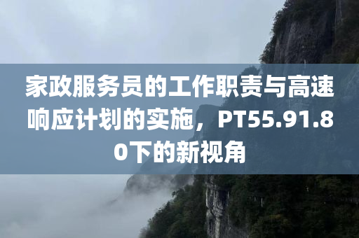 家政服务员的工作职责与高速响应计划的实施，PT55.91.80下的新视角