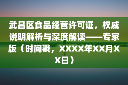 武昌区食品经营许可证，权威说明解析与深度解读——专家版（时间戳，XXXX年XX月XX日）