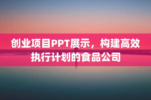 创业项目PPT展示，构建高效执行计划的食品公司