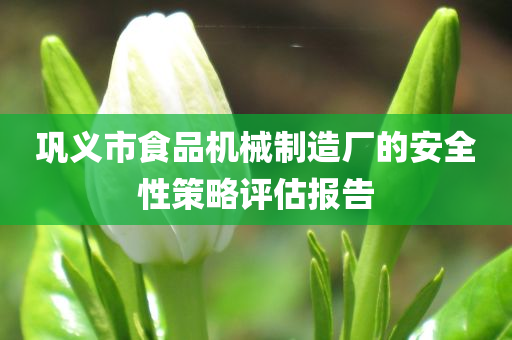 巩义市食品机械制造厂的安全性策略评估报告