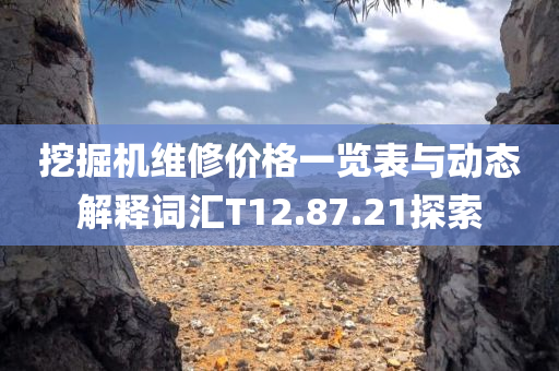 挖掘机维修价格一览表与动态解释词汇T12.87.21探索