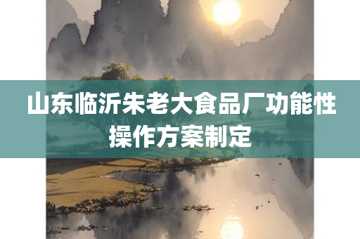 山东临沂朱老大食品厂功能性操作方案制定