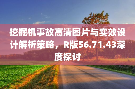 挖掘机事故高清图片与实效设计解析策略，R版56.71.43深度探讨