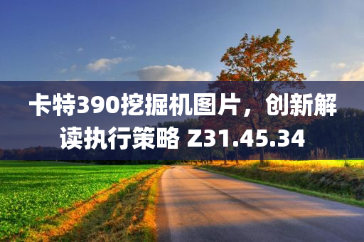 卡特390挖掘机图片，创新解读执行策略 Z31.45.34