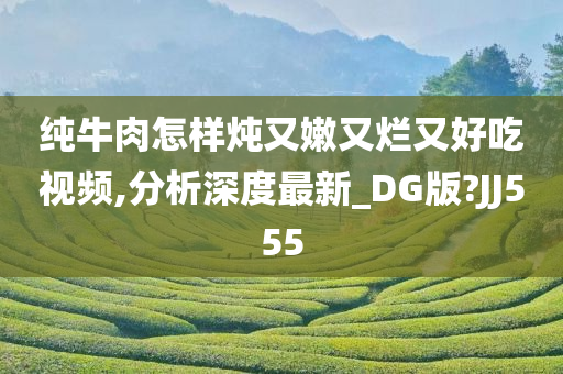 纯牛肉怎样炖又嫩又烂又好吃视频,分析深度最新_DG版?JJ555