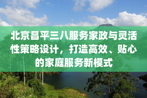 北京昌平三八服务家政与灵活性策略设计，打造高效、贴心的家庭服务新模式