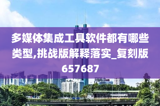 多媒体集成工具软件都有哪些类型,挑战版解释落实_复刻版657687