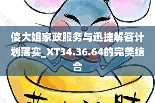 傻大姐家政服务与迅捷解答计划落实_XT34.36.64的完美结合