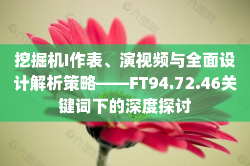 挖掘机I作表、演视频与全面设计解析策略——FT94.72.46关键词下的深度探讨